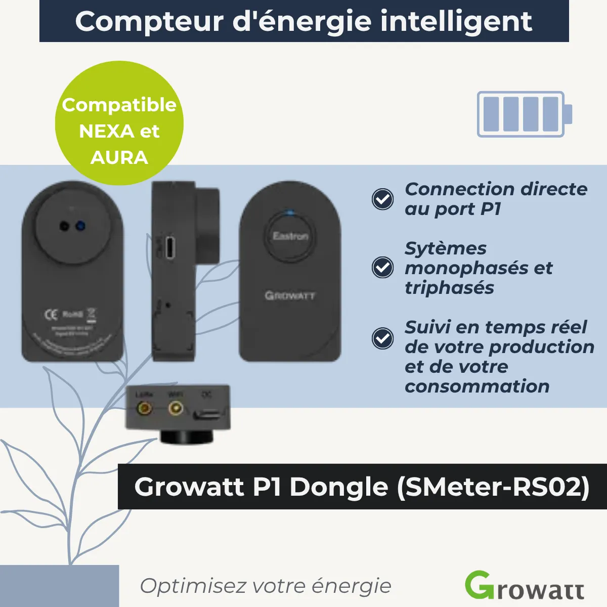 Growatt P1 dongle