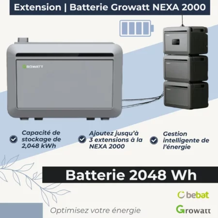 extension de batterie Growatt Nexa 2000